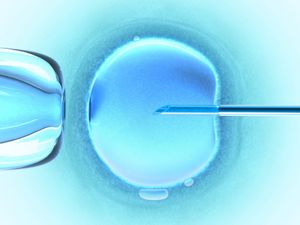 Wow! A total of 6m babies have been born through IVF worldwide