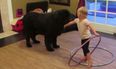 WATCH: Toddler teaches family dog how to hula-hoop