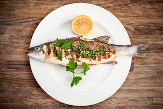 New study suggests eating fish during pregnancy could be beneficial, not dangerous