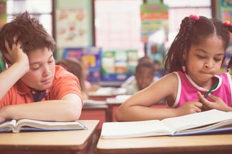 ‘White Irish’ category on database questionnaire stirs controversy among parents