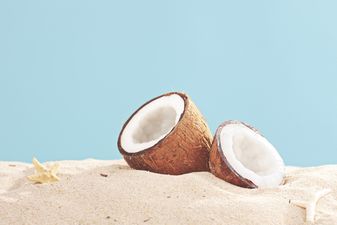 Go (Coco) Nuts: Three new ways to eat the prized fruit of the palm tree