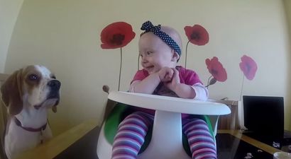 WATCH: Sweet dog shows nothing but love for his new baby sister