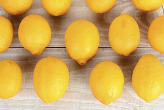 Simply the Zest: 7 REALLY cool uses for lemon peel