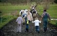 Meath-based mid-term days out for outdoorsy little explorers