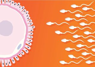 New Bill will make it difficult to access anonymous sperm and egg donation