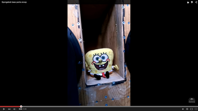 WATCH: SpongeBob Basspants is busting out some killer moves
