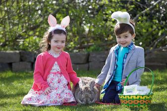 Stuck in a mid-term rut? Here are 3 cool events you might ALL enjoy