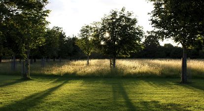 Toddler dies following Phoenix Park hit and run