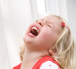 A restaurant that banned “small screaming children” issues an apology