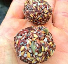 These superfood protein balls are perfect for little lunch boxes