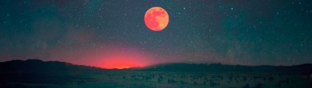 Book the Babysitter: Our pick of the best date ideas this week