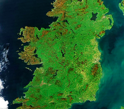 50,000 Irish came #hometovote for the Referendum: Some of the best stories…