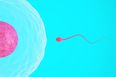 Would you get sperm from Facebook?