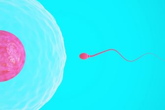 Would you get sperm from Facebook?