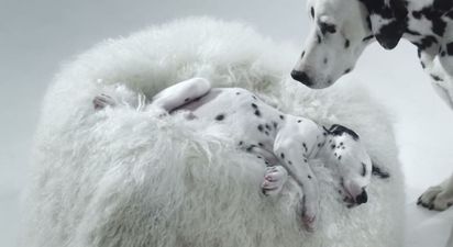 [CLOSED] WIN! We’re giving away FIVE luxury skincare hampers with thanks to LaRoche-Posay