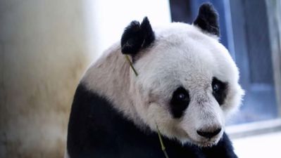 Is world’s oldest Granny also world’s cutest granny?