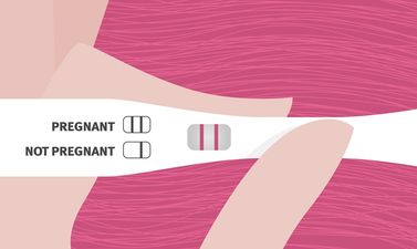 Scientists develop a model to ‘assist couples in planning the size of their families’