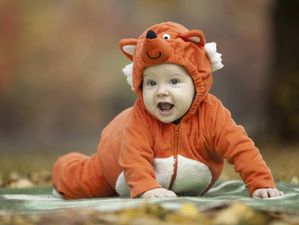 10 ways living with my toddler is like living with a wild animal