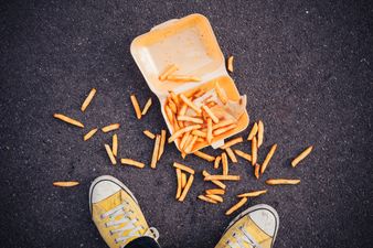 Fact-check: Does the 5 second rule actually work?