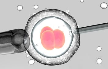 GROUNDBREAKING new study says embryos are just as effective frozen as fresh
