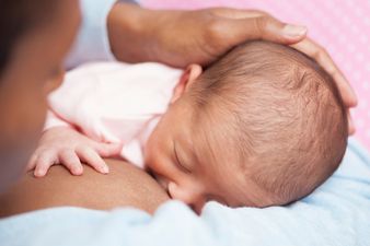 New study says breastfeeding does NOT improve IQ