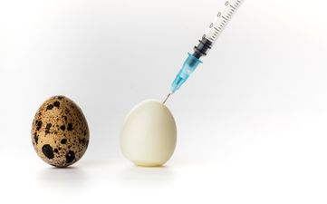 Fresh or Frozen: The difficult debate for IVF