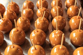 The potentially poisonous seasonal treat: scientists warn over toffee apples