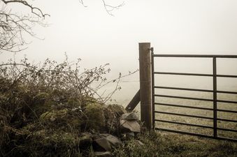 Boy (10) hailed a hero after saving sister from abductor