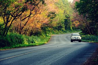 Laois child abductor sentenced to 17 years, will serve 13