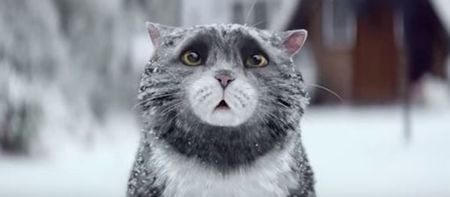 Sainsbury’s may have won the battle of the Christmas ads
