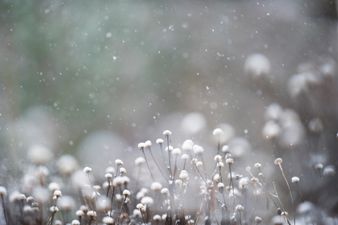 Heavy wintry showers predicted for today
