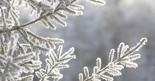 Snow and temperatures as low as -5 forecast for Ireland in the next few days