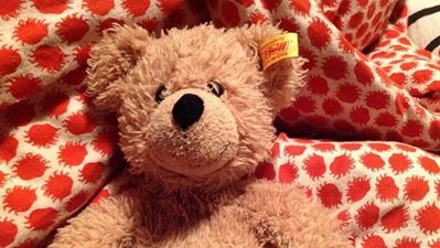 Have YOU seen this very special teddy bear?