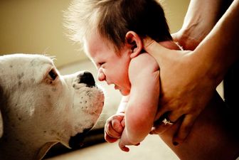 Dogs and Kids: Can they all just get along?