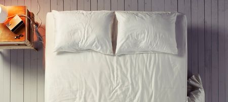 You might be sharing your bed with MILLIONS of tiny spiders