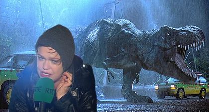 Storm Desmond: Teresa Mannion is the new Hero of the Nation