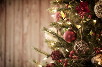 Woman asks strangers to “adopt” her and her son for Christmas