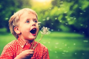 12 Hilarious Things That Crazy Toddlers Say