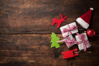 Think it’s safe to say this little girl is NOT a fan of Santa