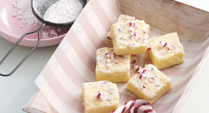 This could-not-be-easier candy cane microwave fudge is the perfect December treat