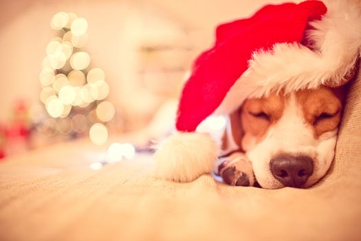 How get the most sleep possible ahead of Santa's visit this Christmas Eve