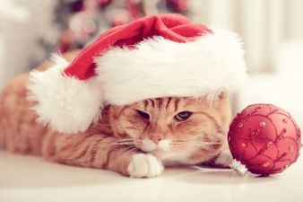 There’s another puzzle doing the rounds…