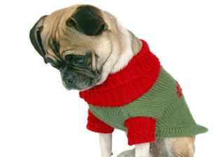 Today is the worst day of the festive season according to survey (not sure we needed telling)