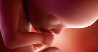 5 Facts About Placenta That You May Not Know