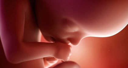 5 Facts About Placenta That You May Not Know