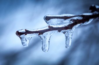 Wintry showers are on the way, according to Met Éireann