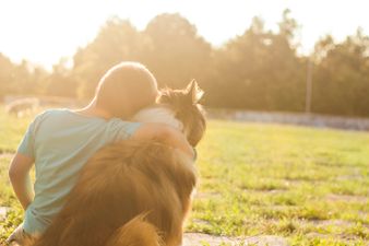 Watch: The Moment A Boy And His Lost Dog Are Reunited (Sob!)