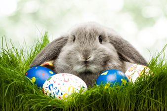 Discussions are happening to “fix” a date for Easter