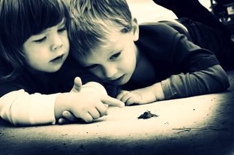 What Do Small Kids Really Believe About The Birds And The Bees?