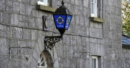 Dublin Gardaí Hunt Predator After Sex Attack On Girl, 14